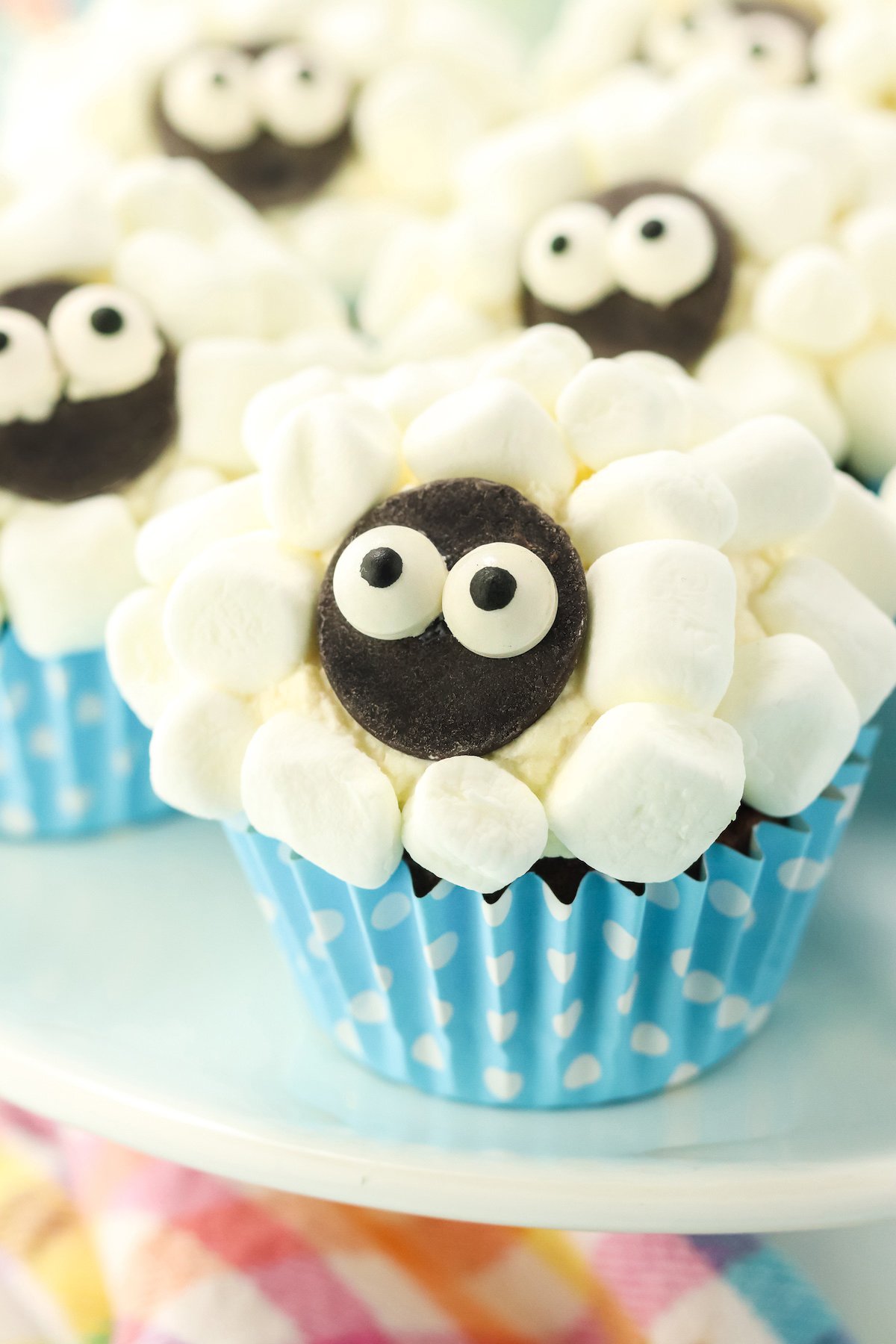 close up of sheep cupcakes