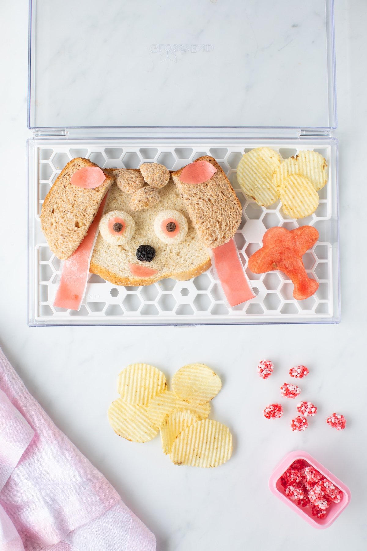PAW PATROL lunch box featuring the character Skye sandwich